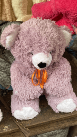 Teddy Bear