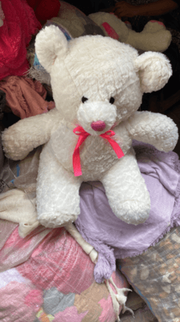 Teddy Bear
